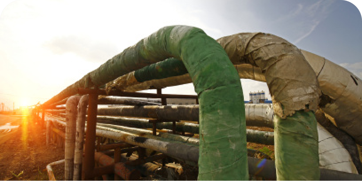 专业技术服务支持